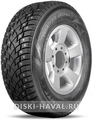 Шина Delinte Winter WD42